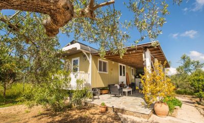 Seize The Day Holiday Homes