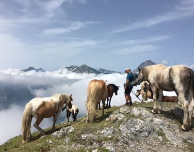 Col di Lavacchio Agriturismo