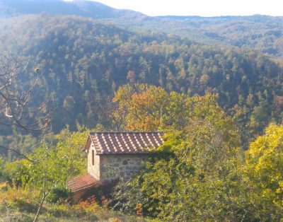 Podere di Maggio