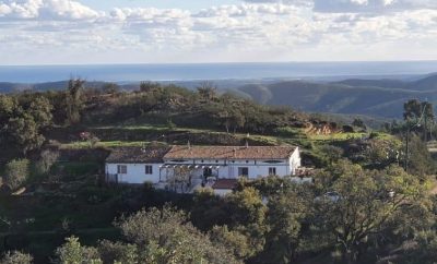 Yoni Yoga Deck Retreat Center