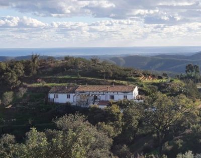 Yoni Yoga Deck Retreat Center