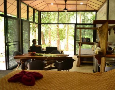 Eco-Logic Yoga Retreat