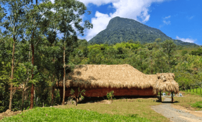 Big Maloka Ayahuasca Retreat Center