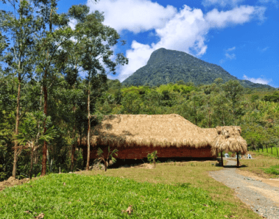 Big Maloka Ayahuasca Retreat Center