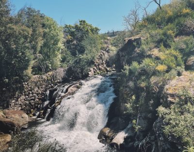 Cara Creek