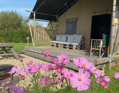 Tall Trees Glamping