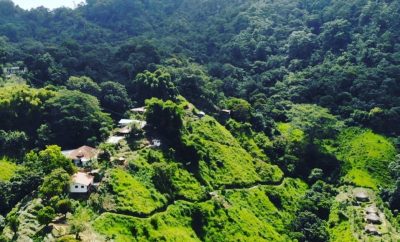 New World Eco Retreat