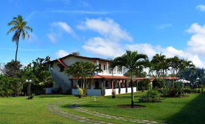 Brazilian Vibes with Ayahuasca, Yoga, Meditation and Surfing