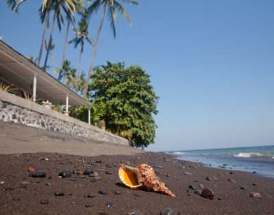 Bondalem Beach Club