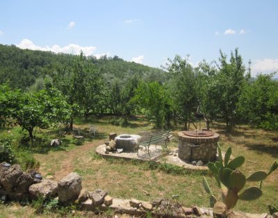 Italy Farm Stay