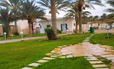 Sahara Oasis retreat, disconnect and relax