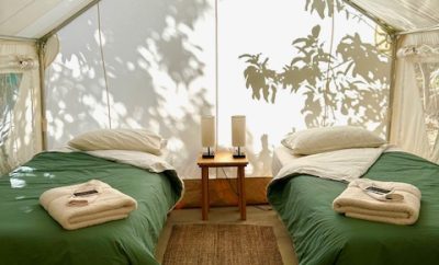 Orchard Glamping Retreat