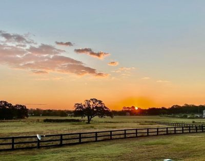 The Ranch in the Oaks