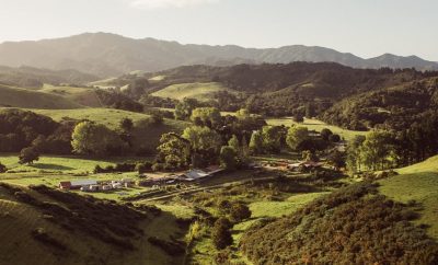 Whangaruru Farm