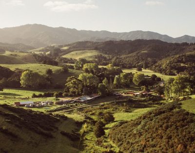 Whangaruru Farm