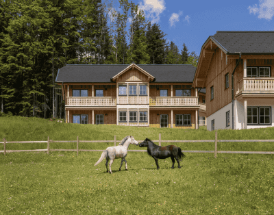 Chalet Apartment Kontrabass – Lake Grundlsee