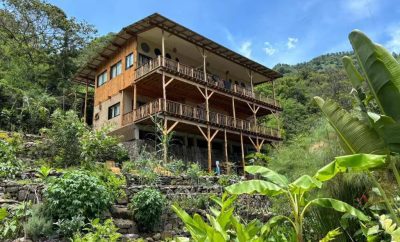 Peaceful Permaculture Sanctuary