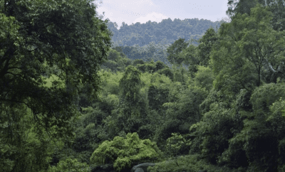 Eco Logic Thailand