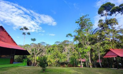 Amazon Getaway