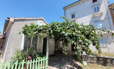 Mayan House Retreats & House Rental