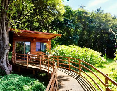 Hacienda Angeles Eco-Retreat Center