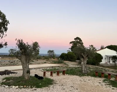 Valley of the Stars