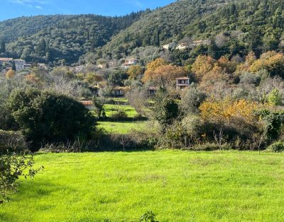 Apanema Mindfulness