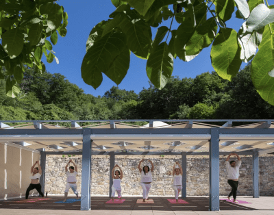 Abeliona retreat
