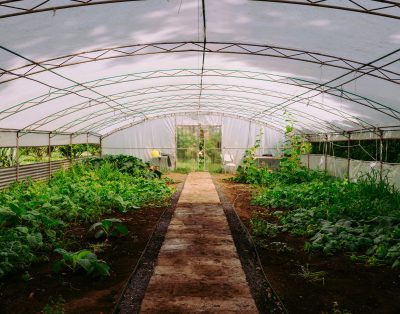 Quinta Morazes, retreat center in Azores, Portugal