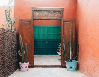 Cactus coliving coworking Tenerife