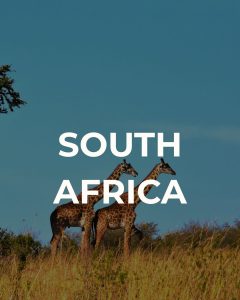 Retreat venues in South Africa